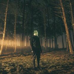 Cover of i.Forest