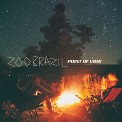 Cover of Point of View