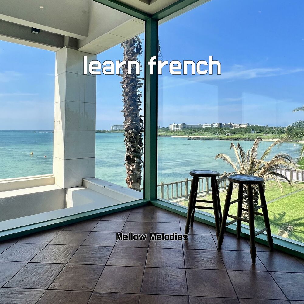Picture of learn french