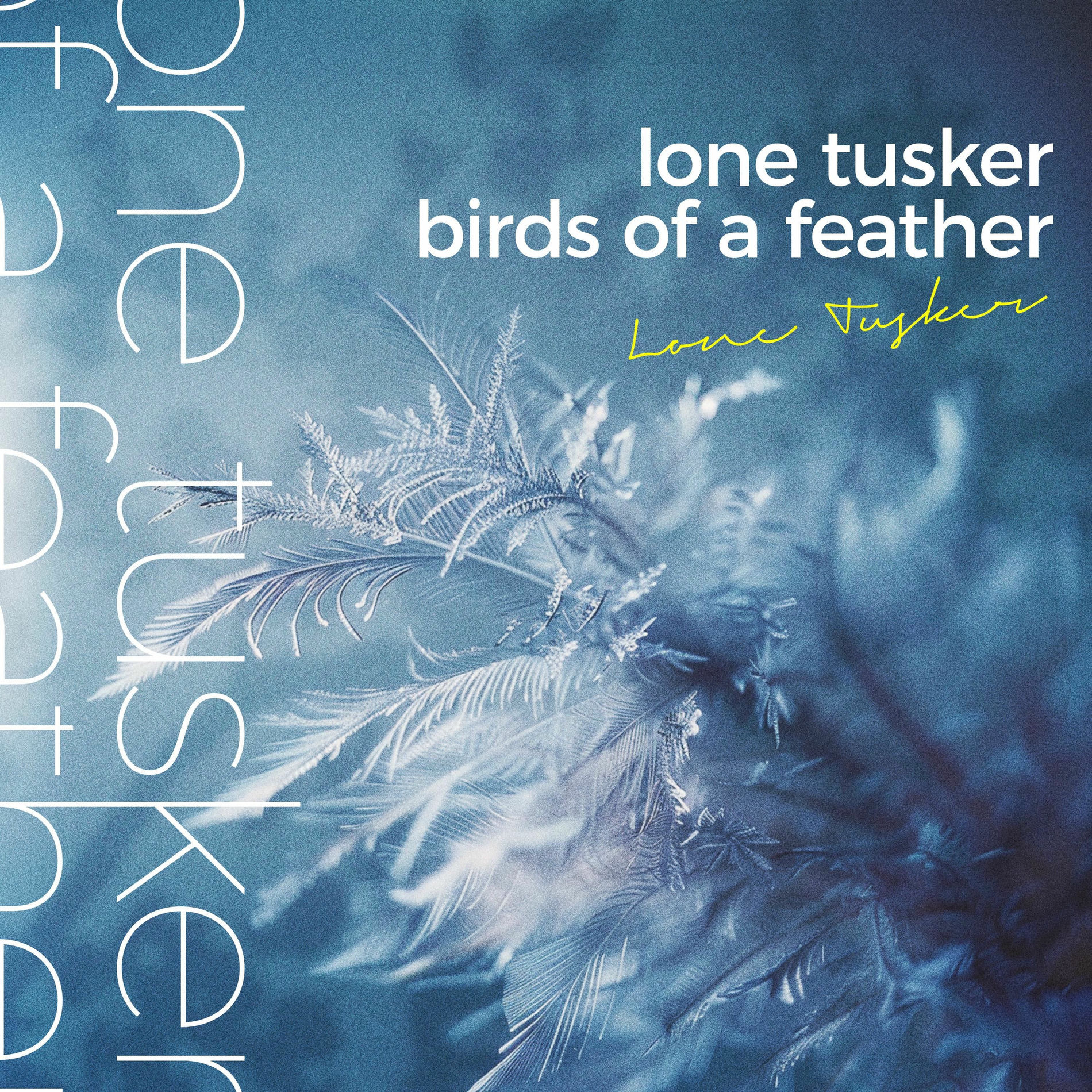 Album cover of Birds Of A Feather