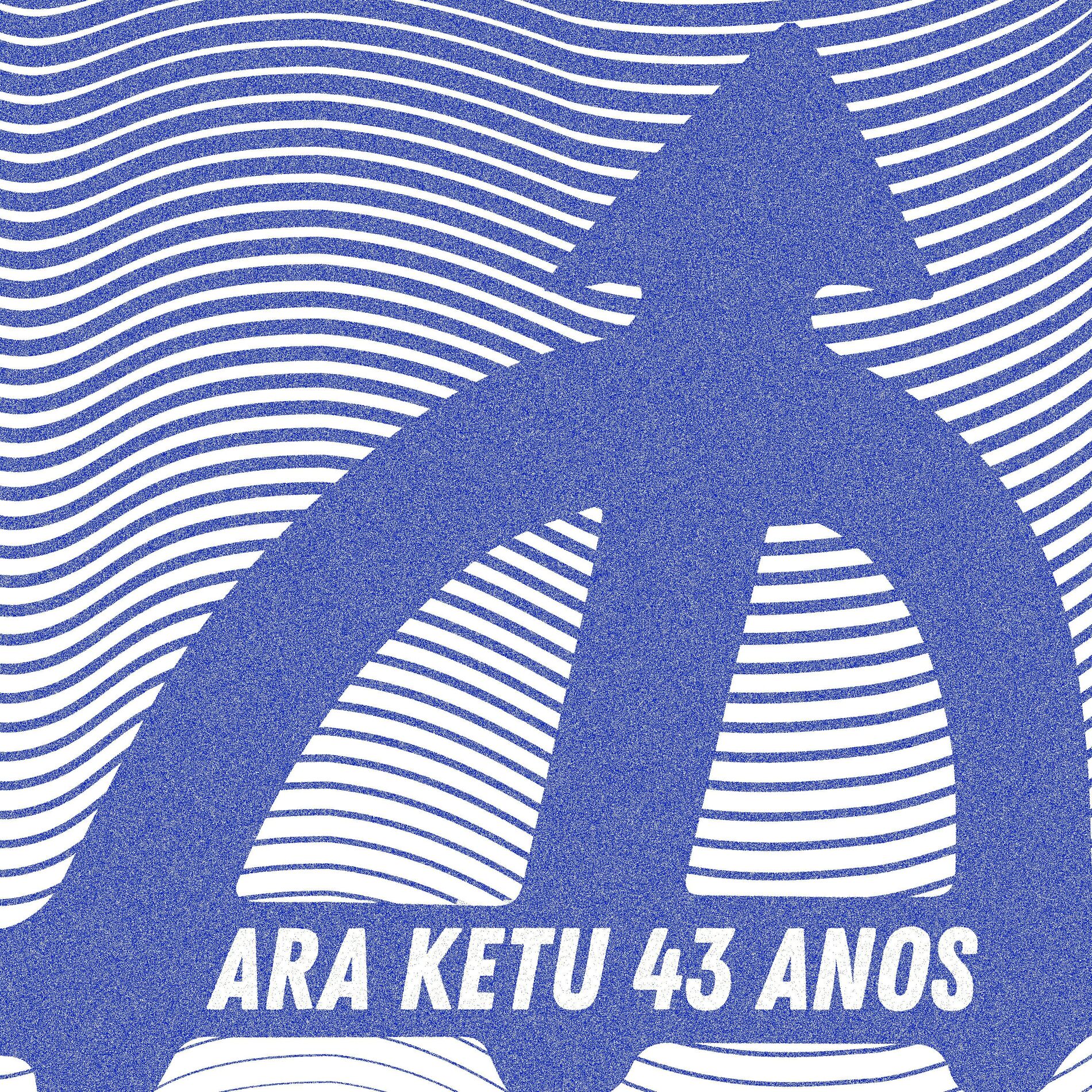 Album cover of 43