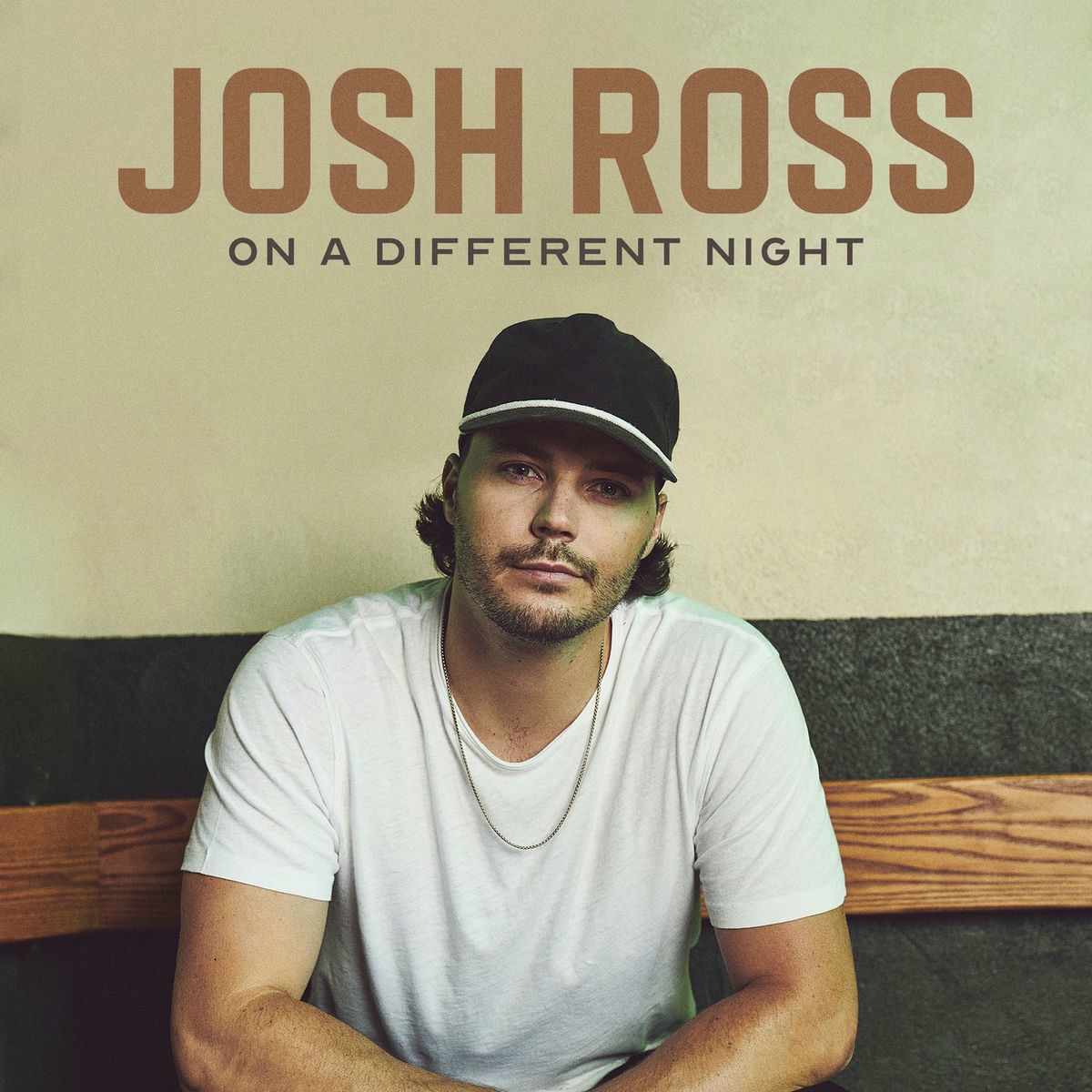 Album cover of On A Different Night