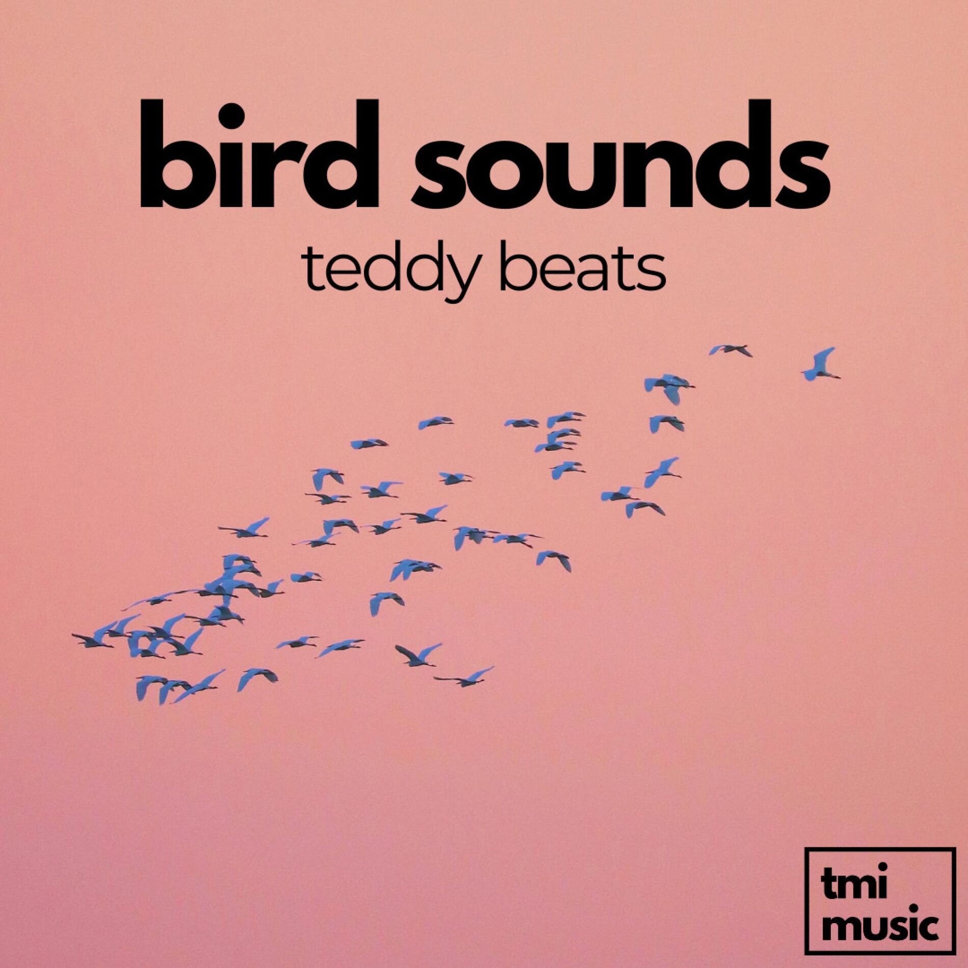 Album cover of Bird Sounds