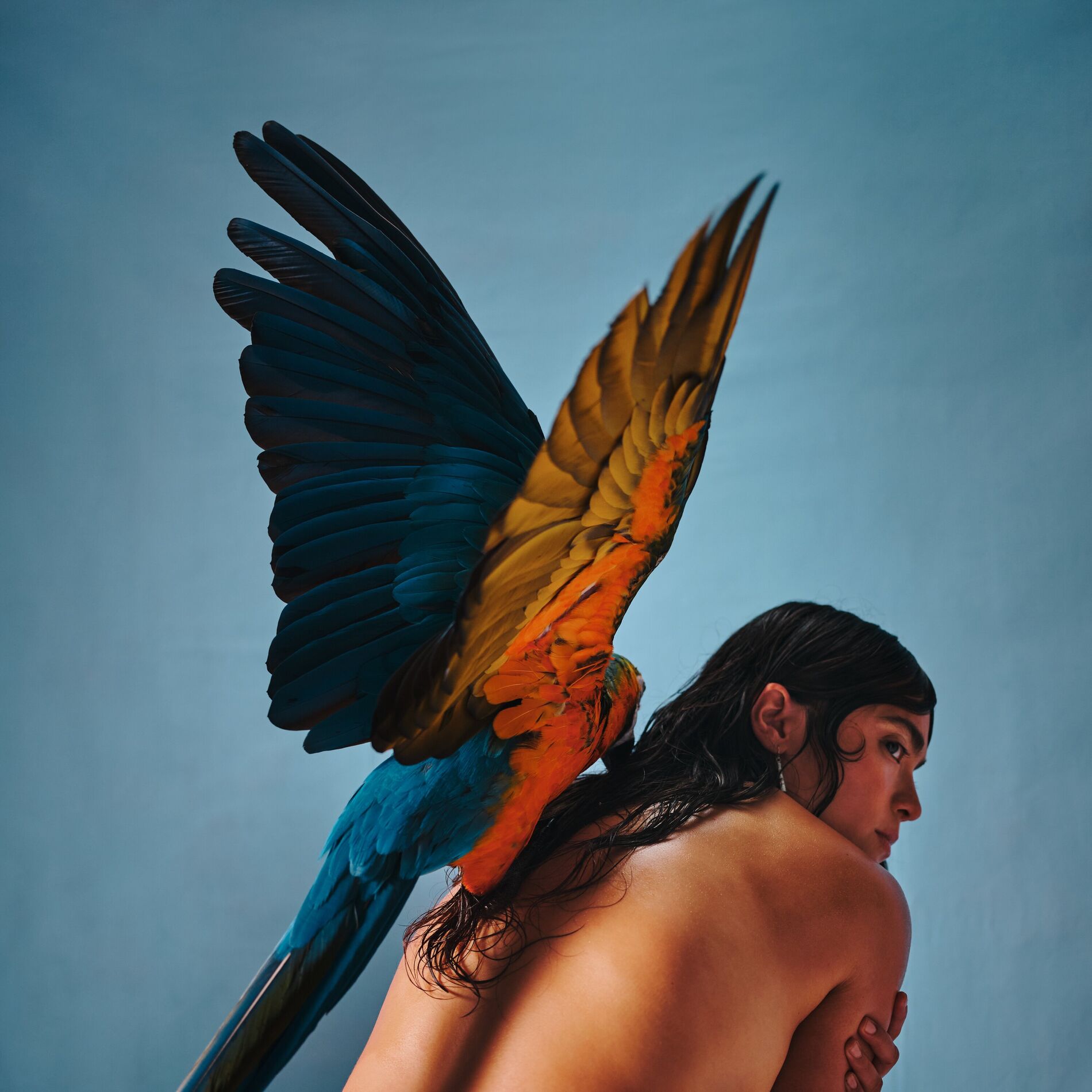 Album cover of Malegría