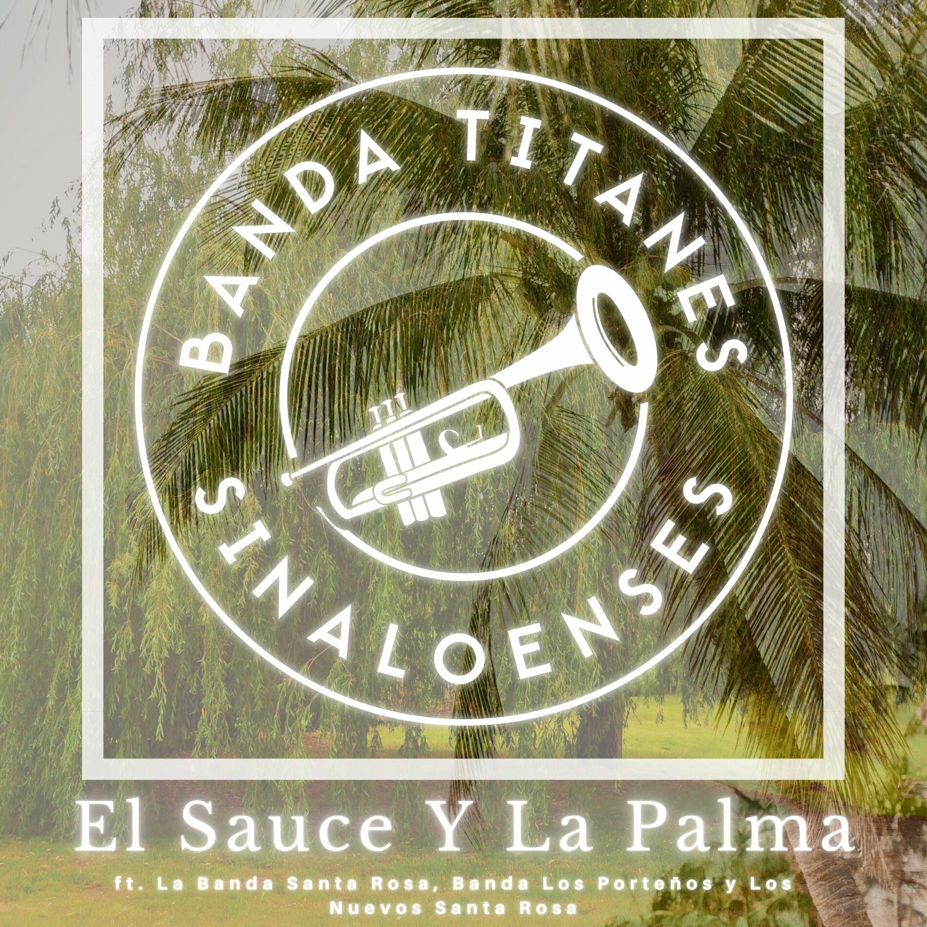 Album cover of El Sauce Y La Palma
