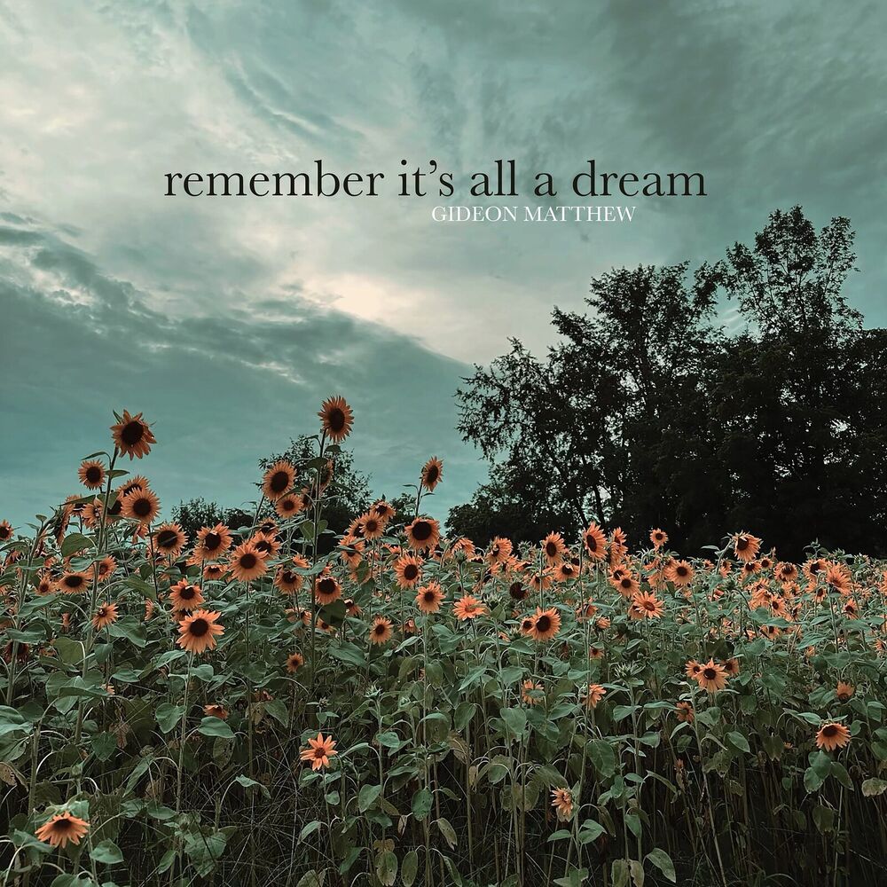 Picture of Remember It's All A Dream