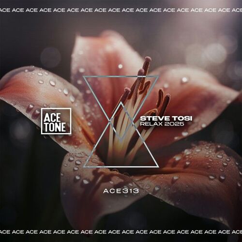  Steve Tosi - Relax 2025 (2025) 