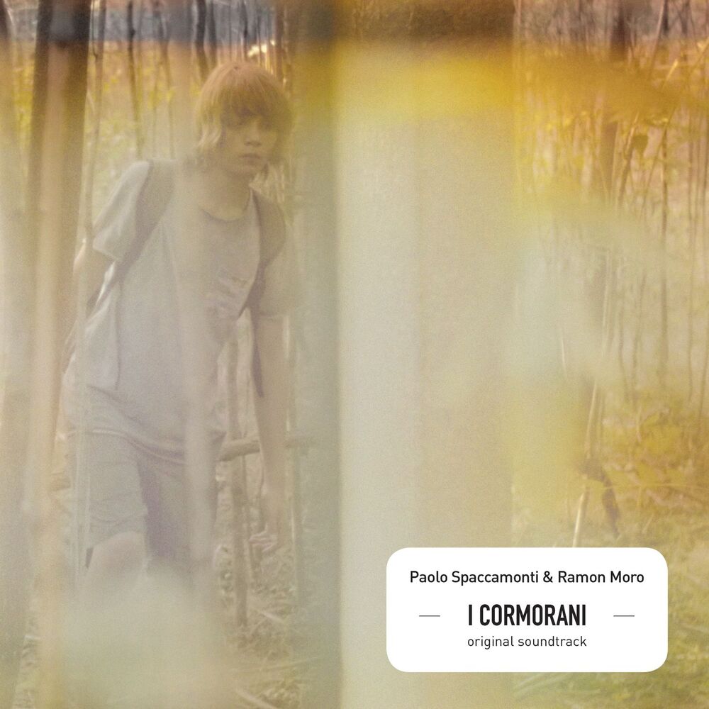 Picture of I Cormorani (Original Motion Picture Soundtrack)