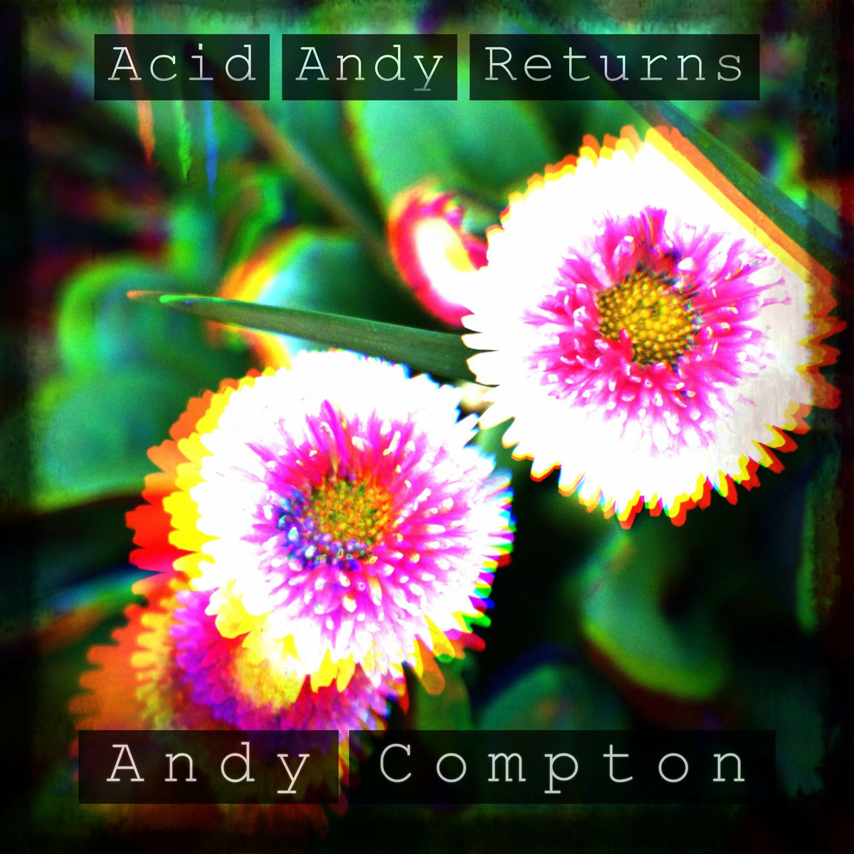 Album cover of Acid Andy Returns