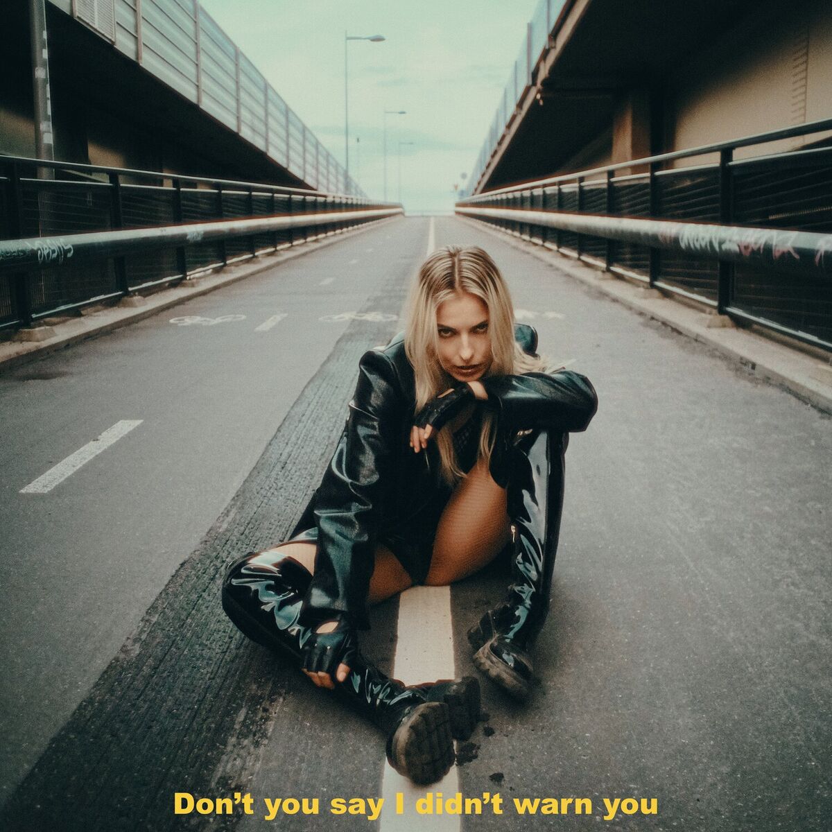 Album cover of Don't you say I didn't warn you