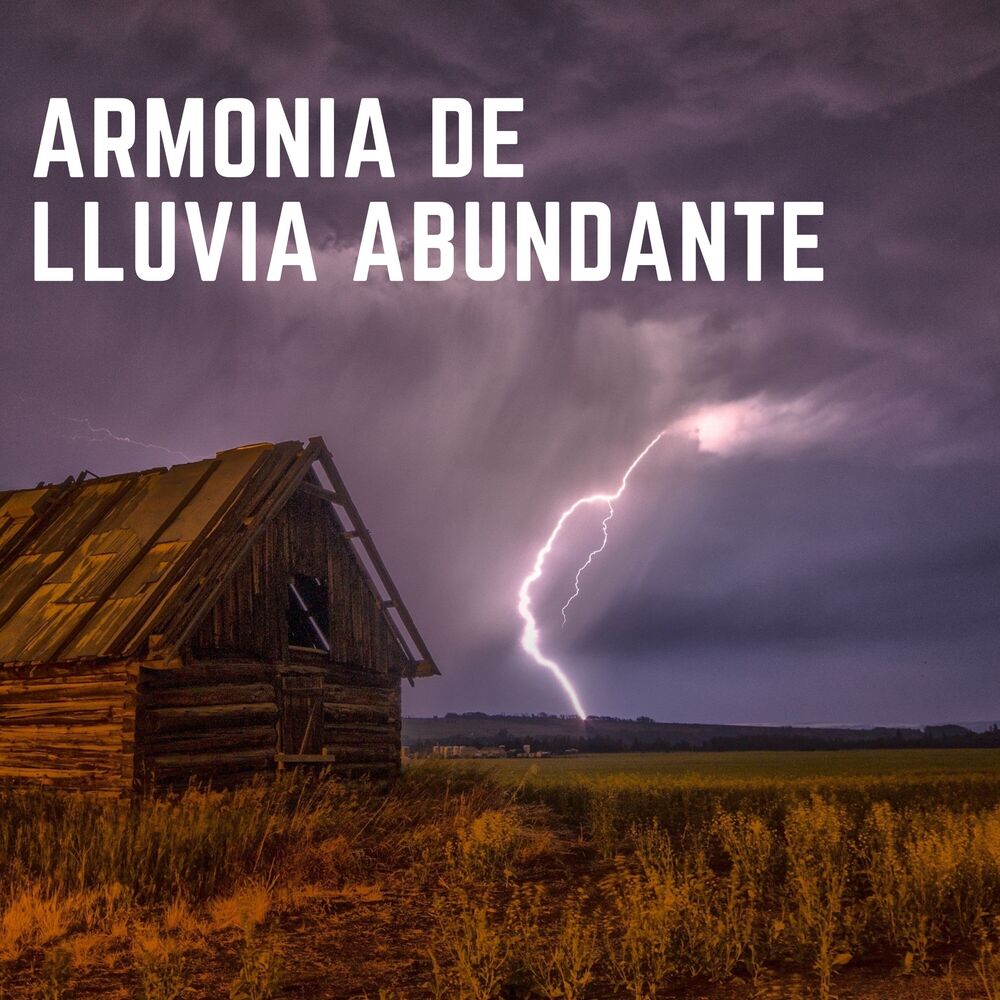 Picture of Armonía De Lluvia Abundante