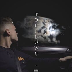 Cover of Topflows