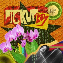 Cover of Pickup Boy