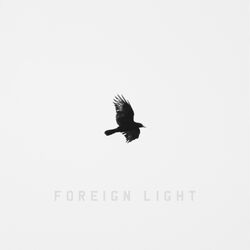 Cover of Foreign Light