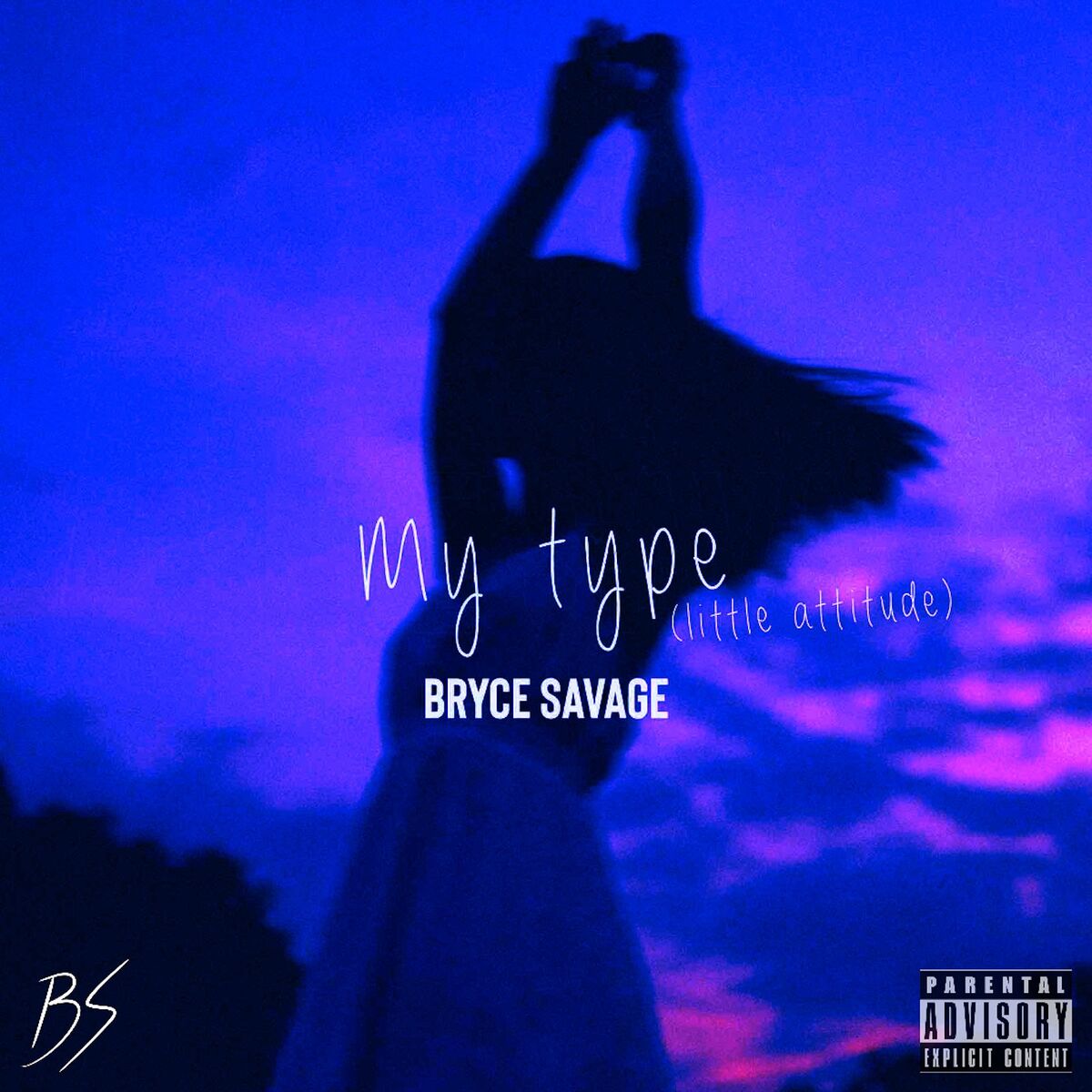 Album cover of My Type (Little Attitude)