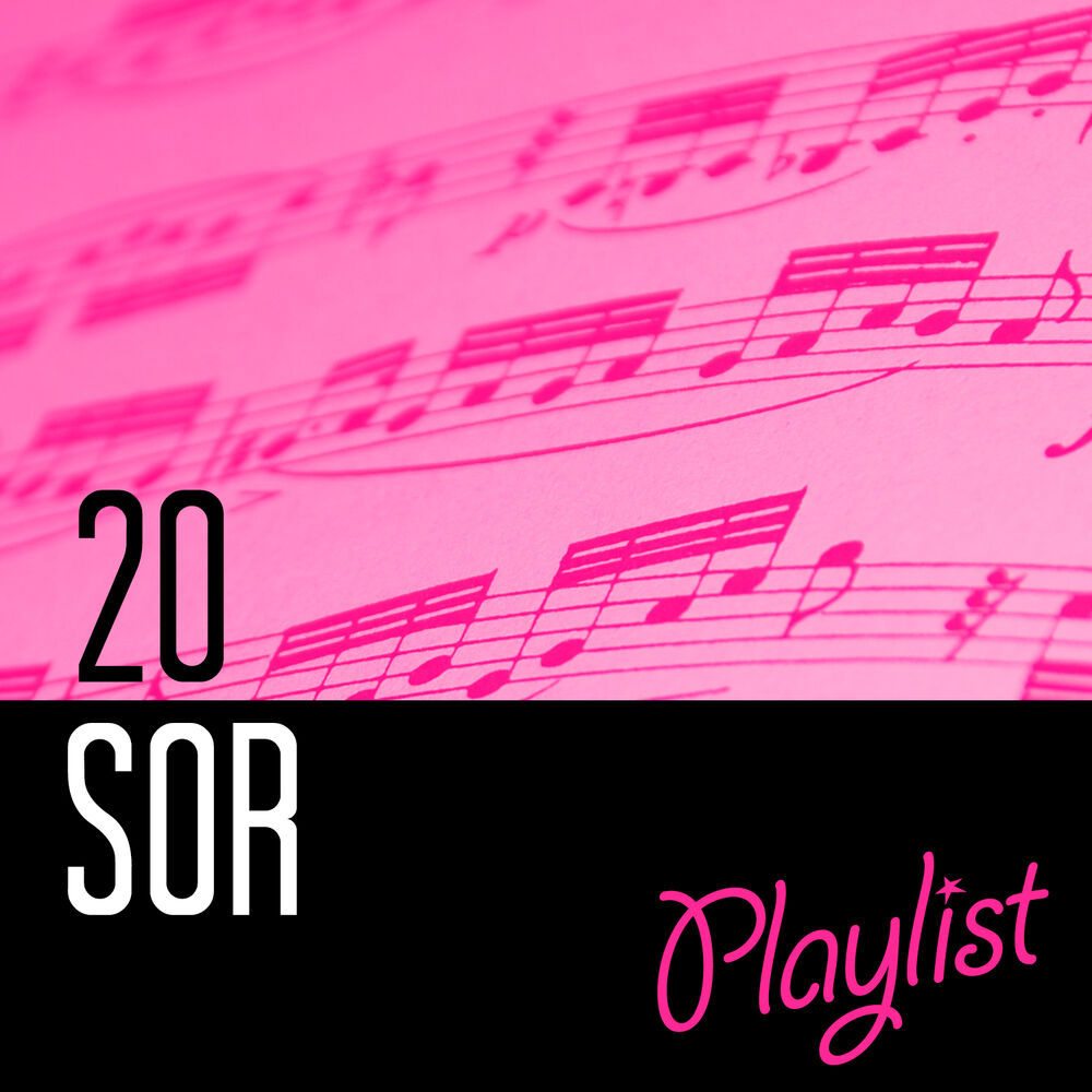 Picture of 20 Sor Playlist