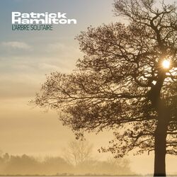 Cover of L'arbre Solitaire