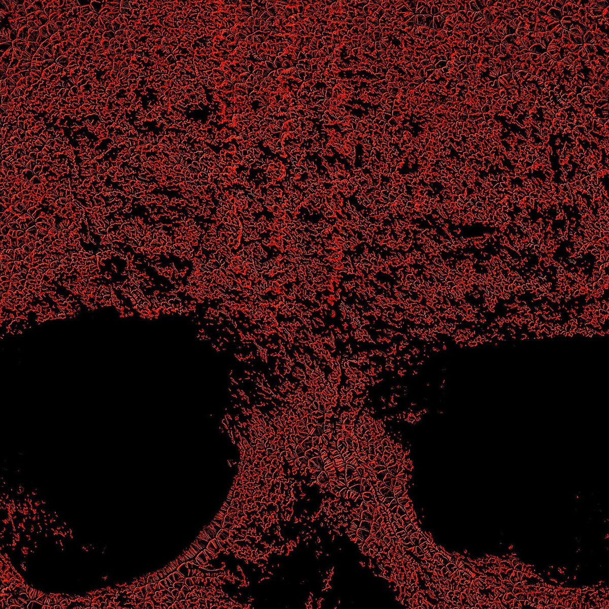 Album cover of 10 Evil Frights: Dark Magic