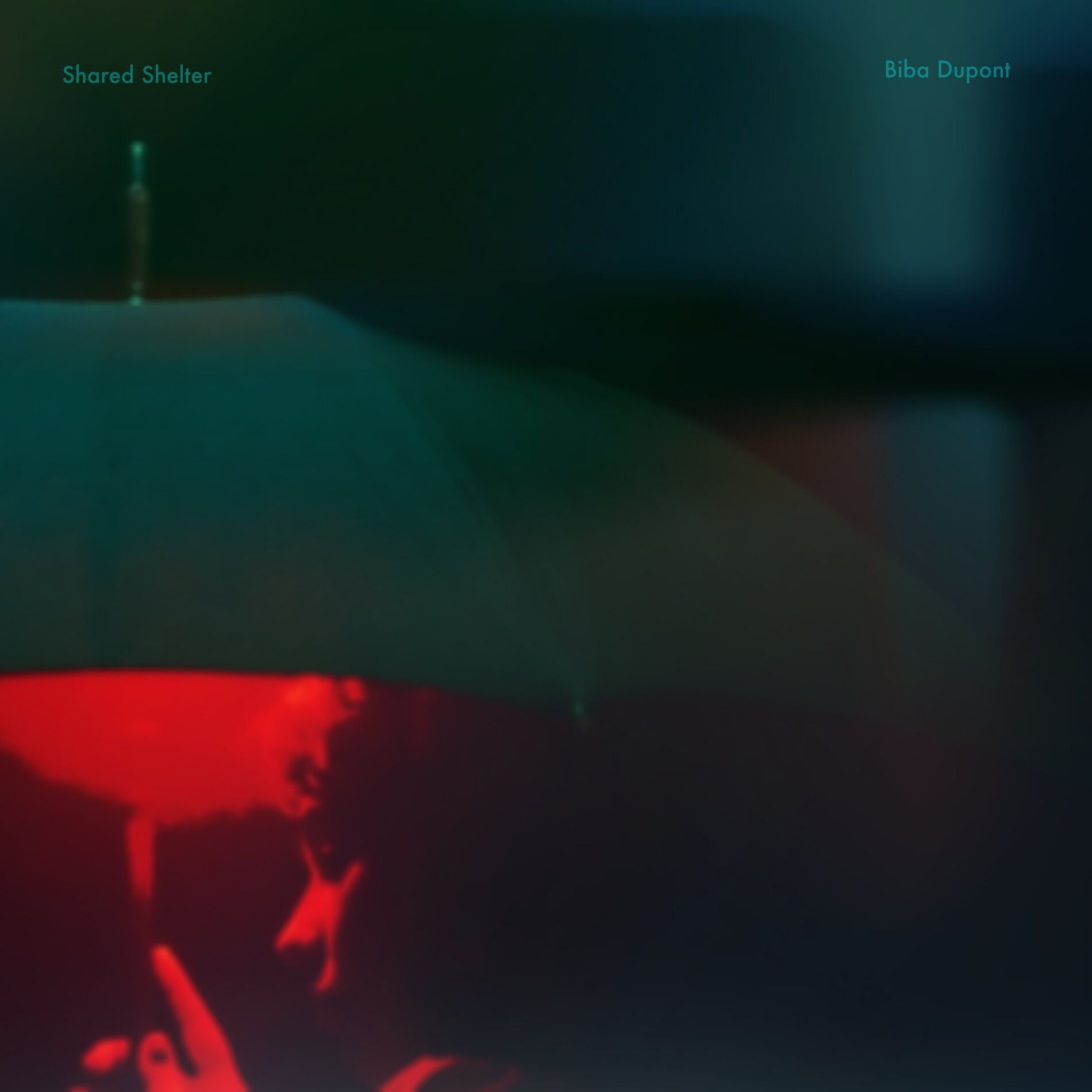 Album cover of Shared Shelter
