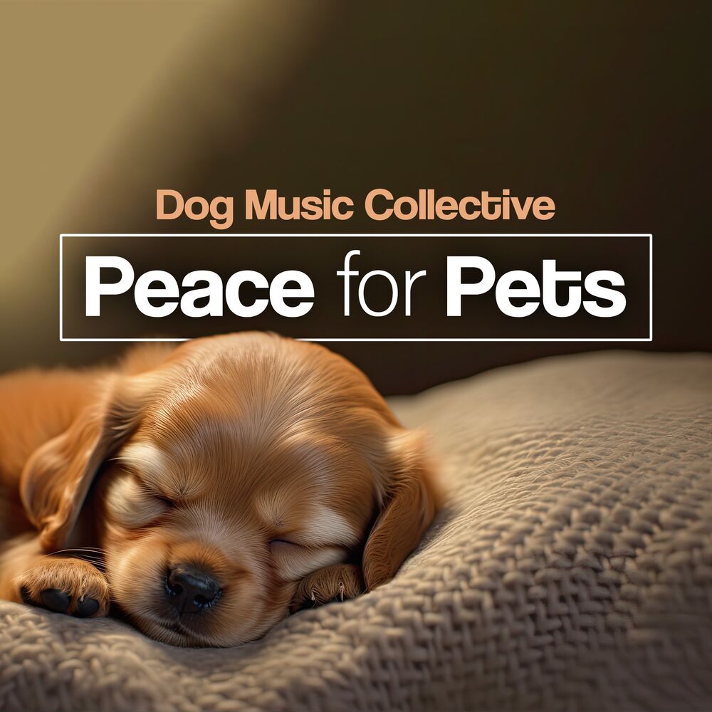 Picture of Peace for Pets