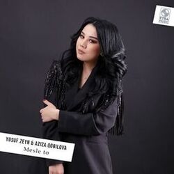 Cover of Mesle to