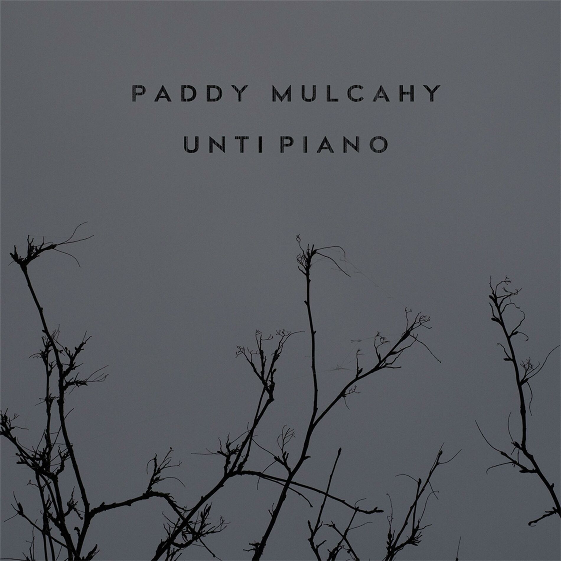 Album cover of Unti Piano