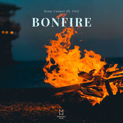 Cover of Bonfire