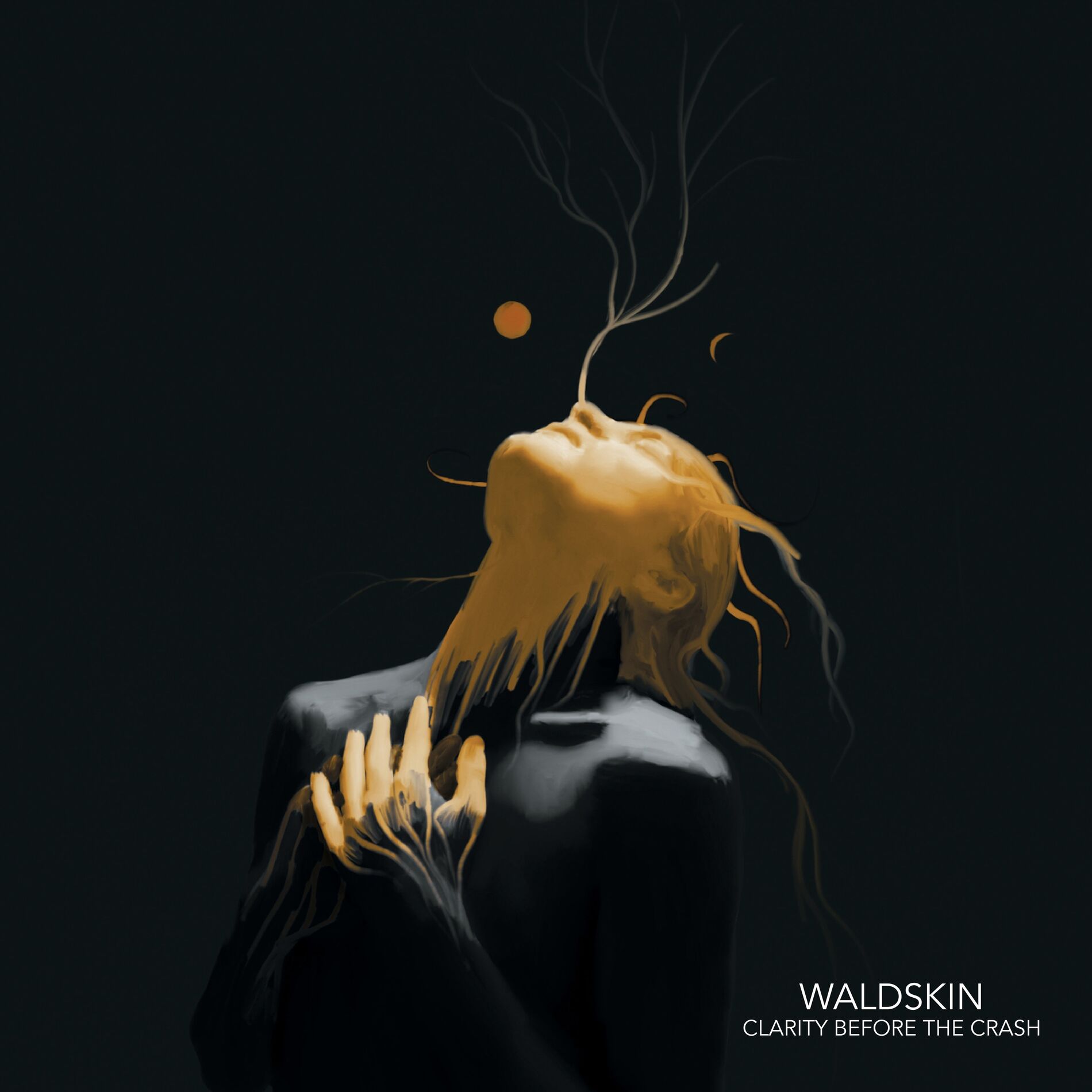 Album cover of Clarity Before the Crash