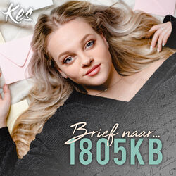 Cover of Brief