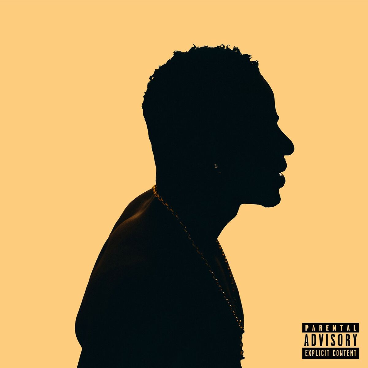 Album cover of New Light