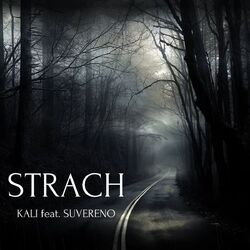 Cover of Strach