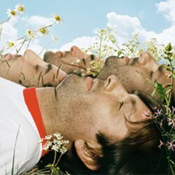 Cover of Mélanger les couleurs