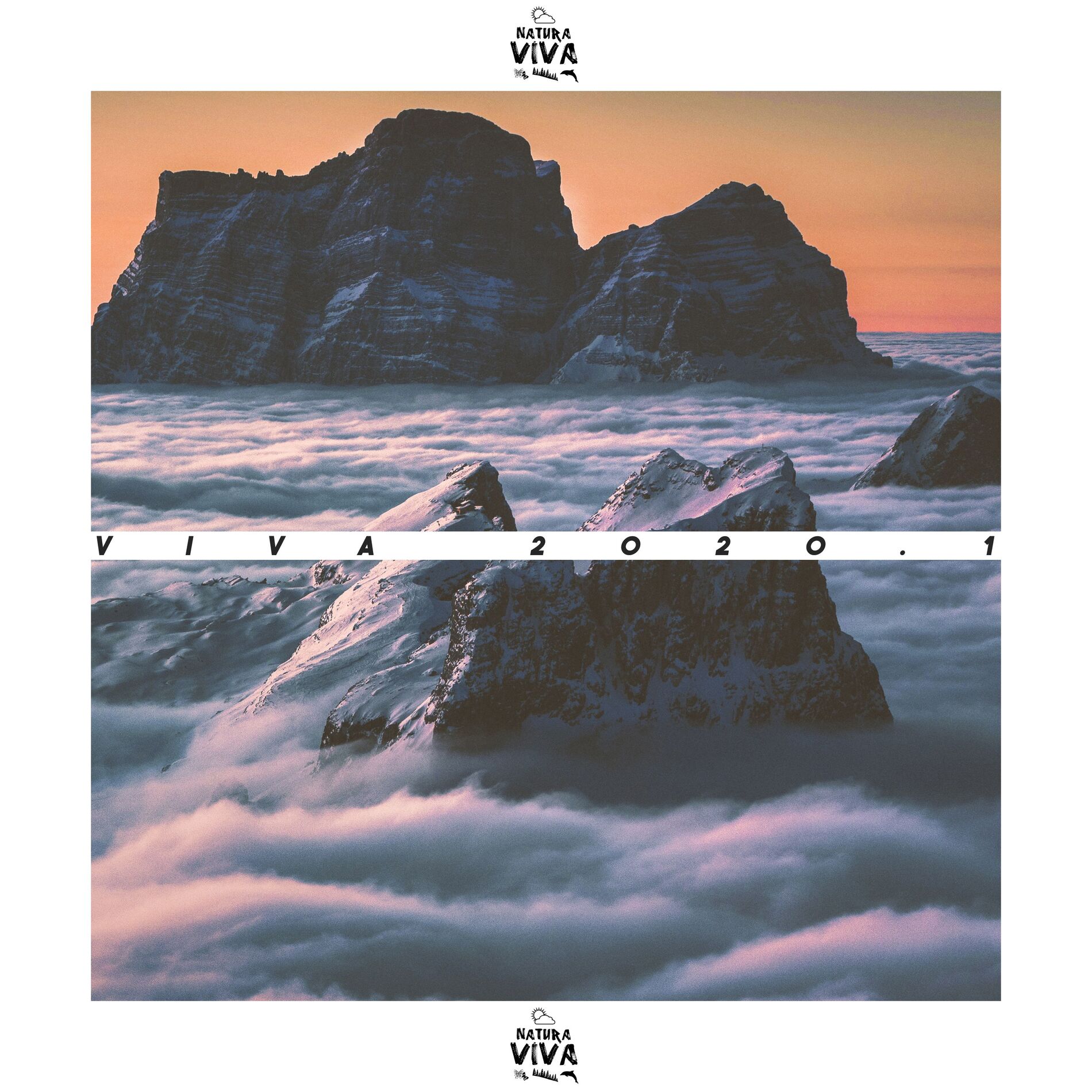 Album cover of Viva 2020.1