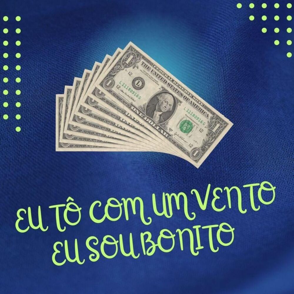 Picture of EU TÔ COM UM VENTO EU SOU BONITO (Remix)