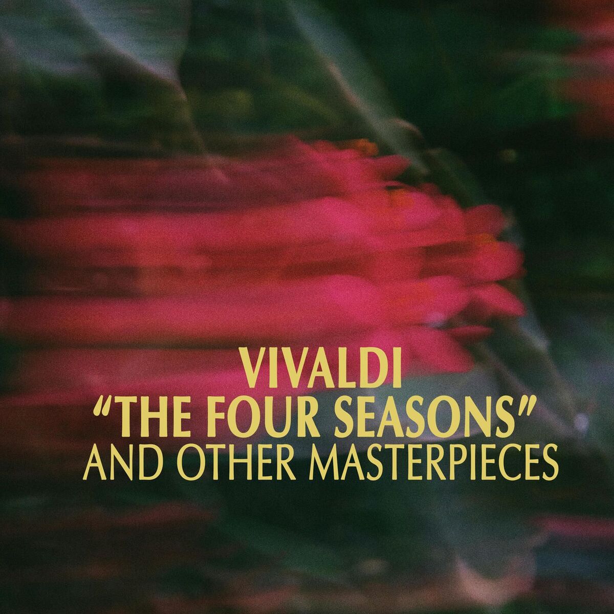 Album cover of Vivaldi 
