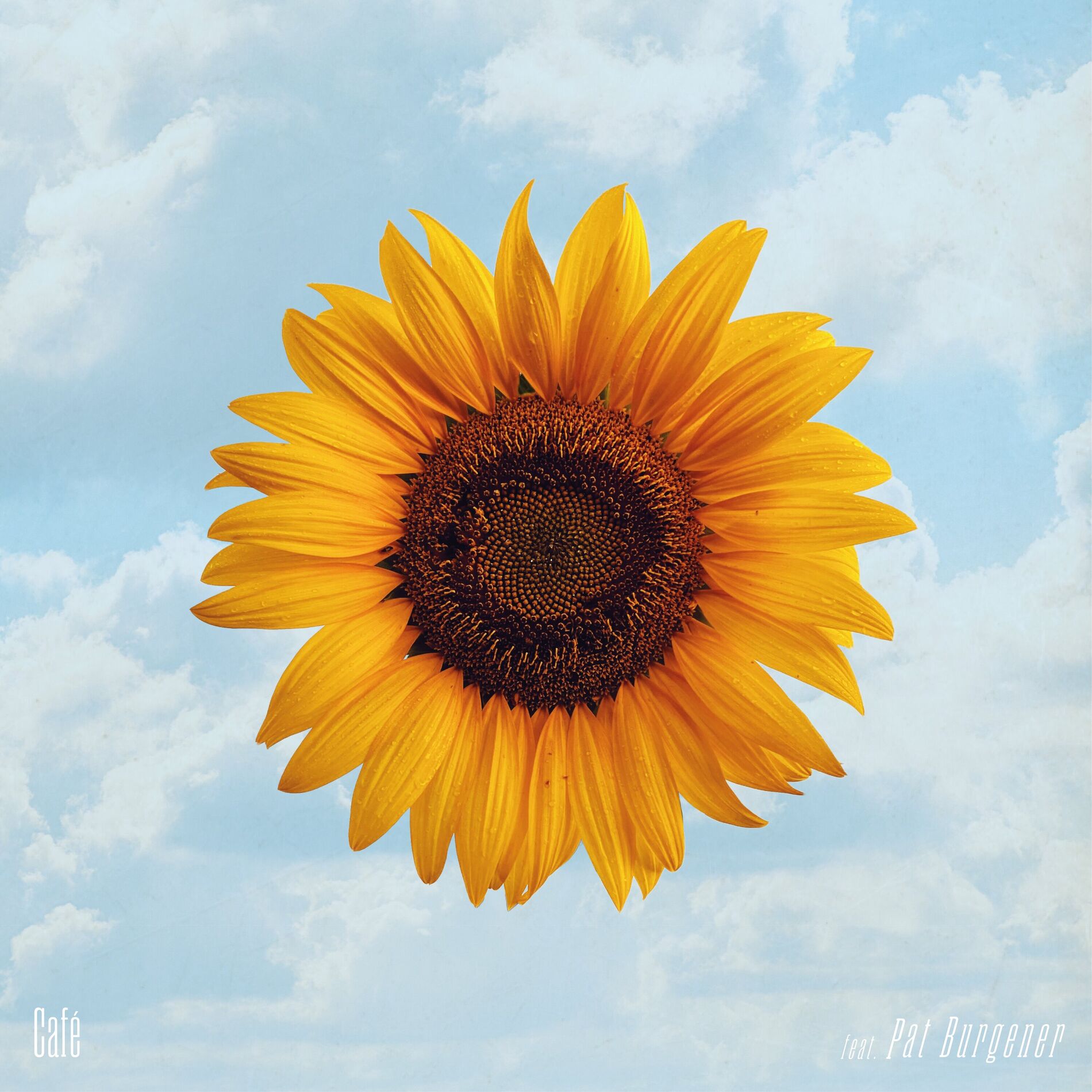 Album cover of Café