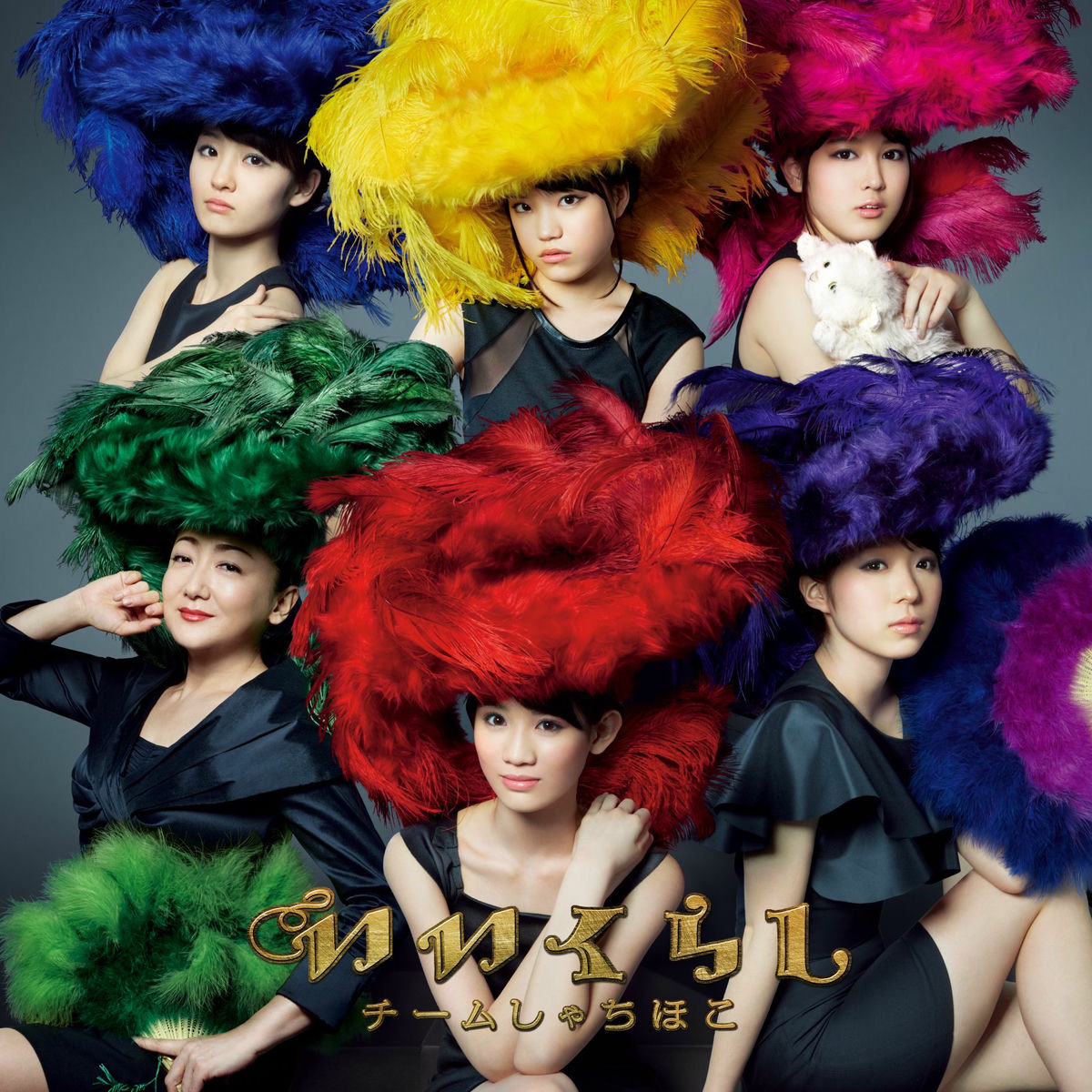 team syachihoko: albums, songs, concerts | Deezer