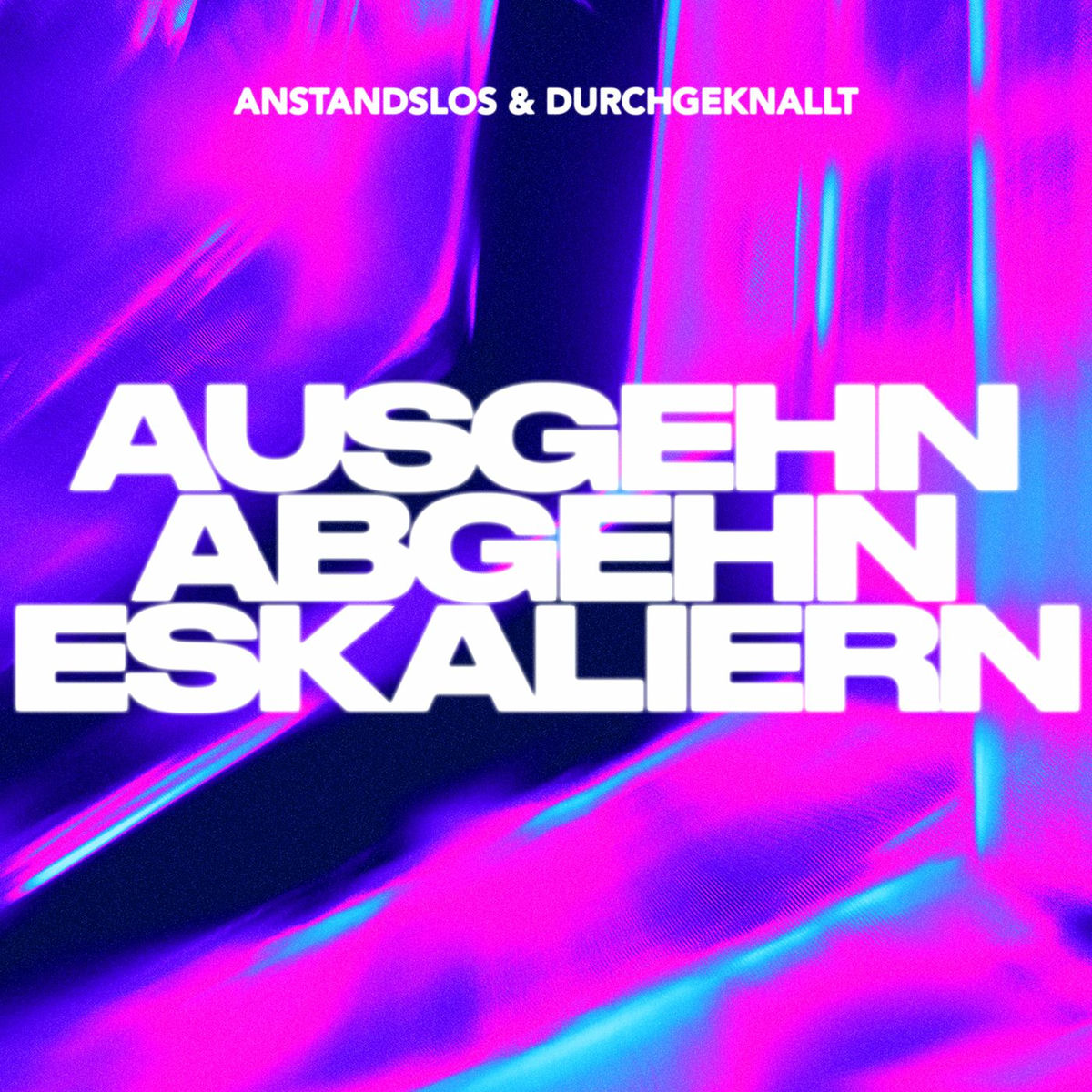 Album cover of Ausgehn Abgehn Eskaliern