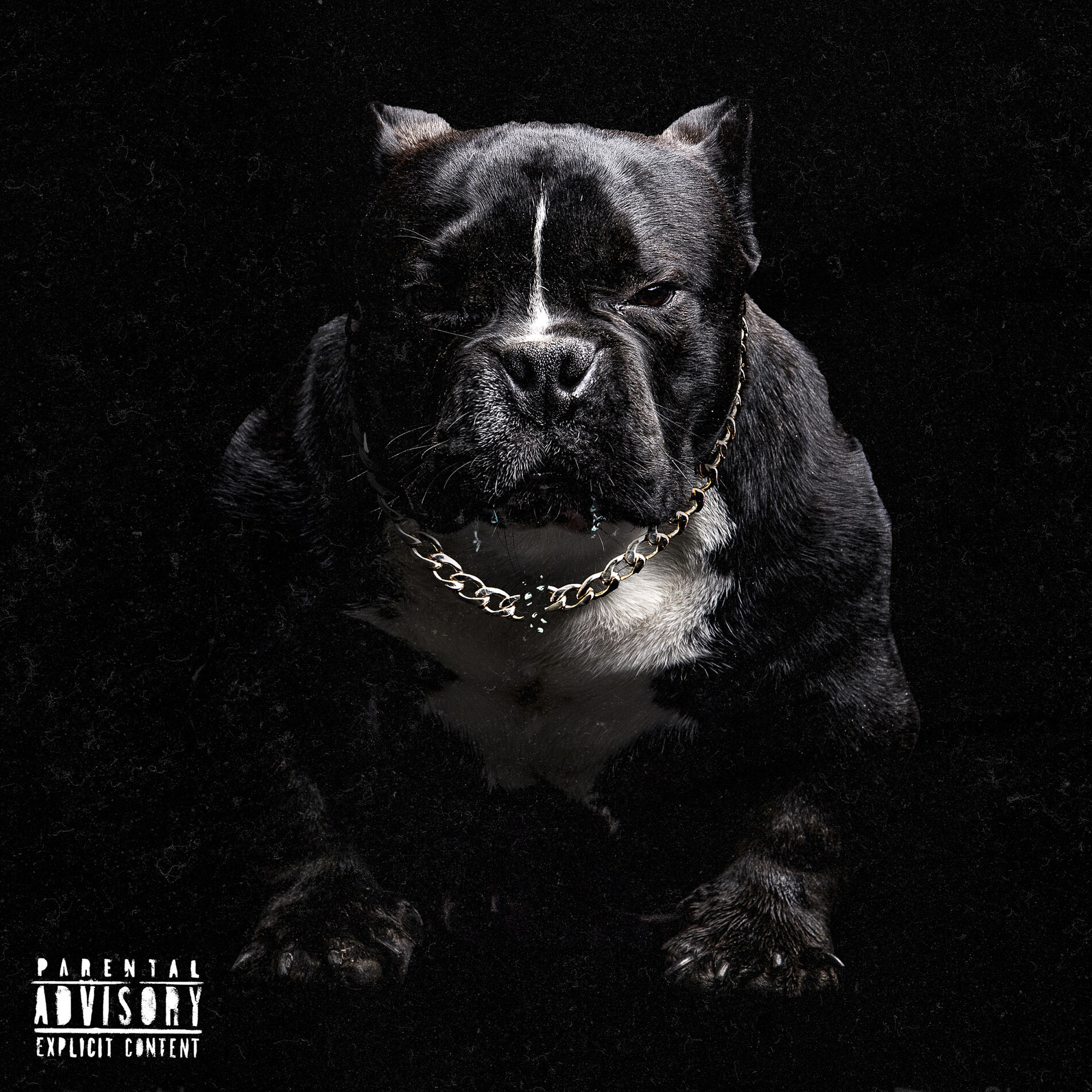 Album cover of Perro Sin Cadena