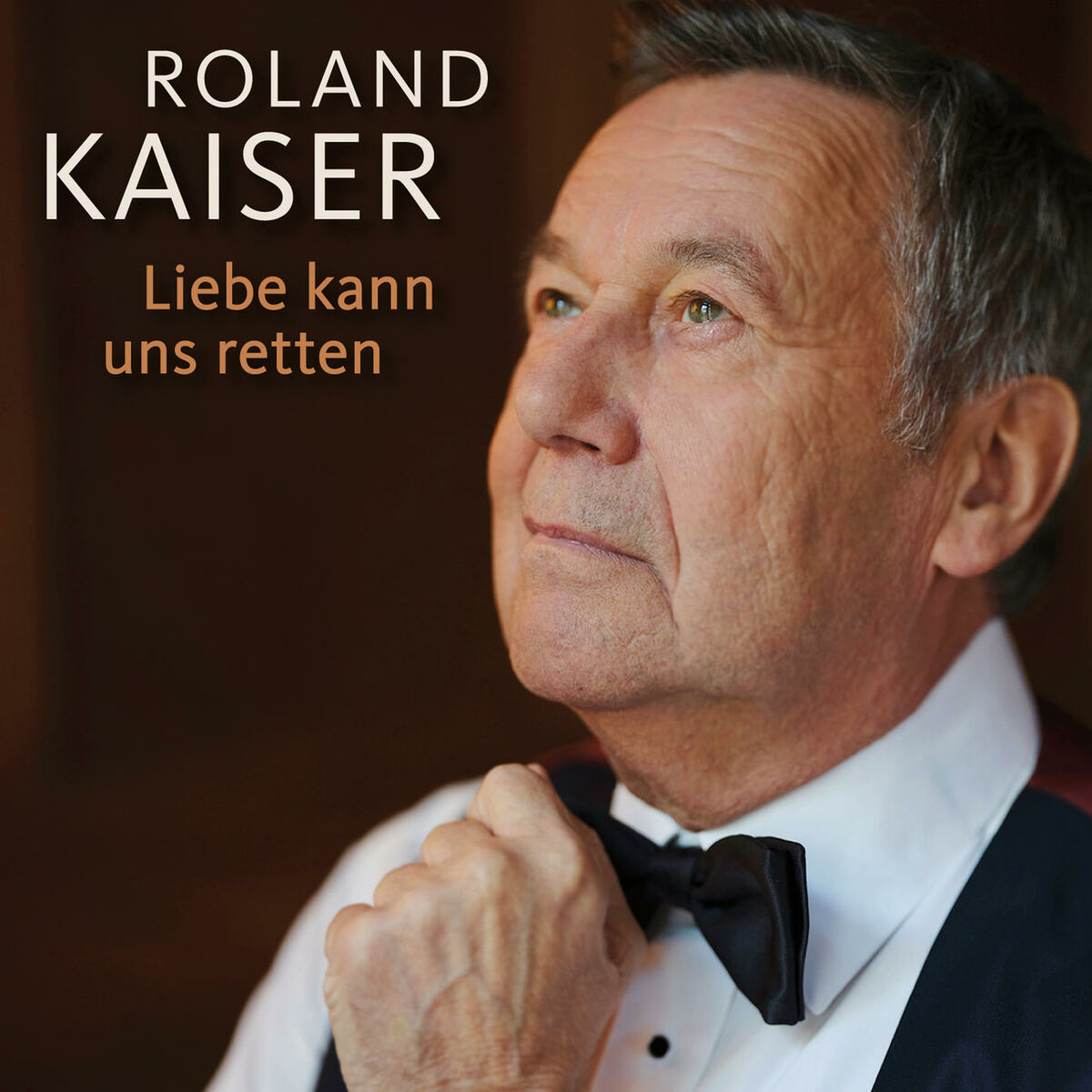 Album cover of Liebe kann uns retten