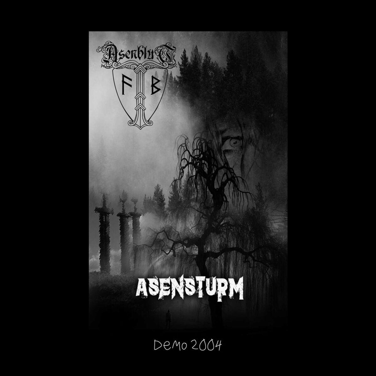 Album cover of Asensturm