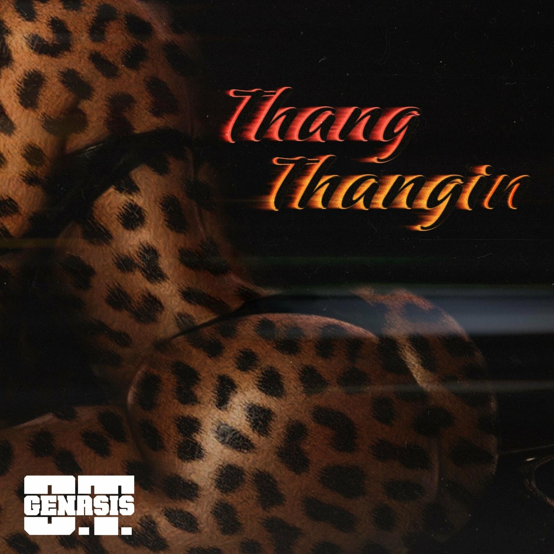 Album cover of Thang Thangin