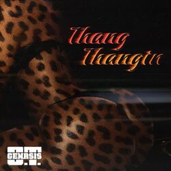 Cover of Thang Thangin