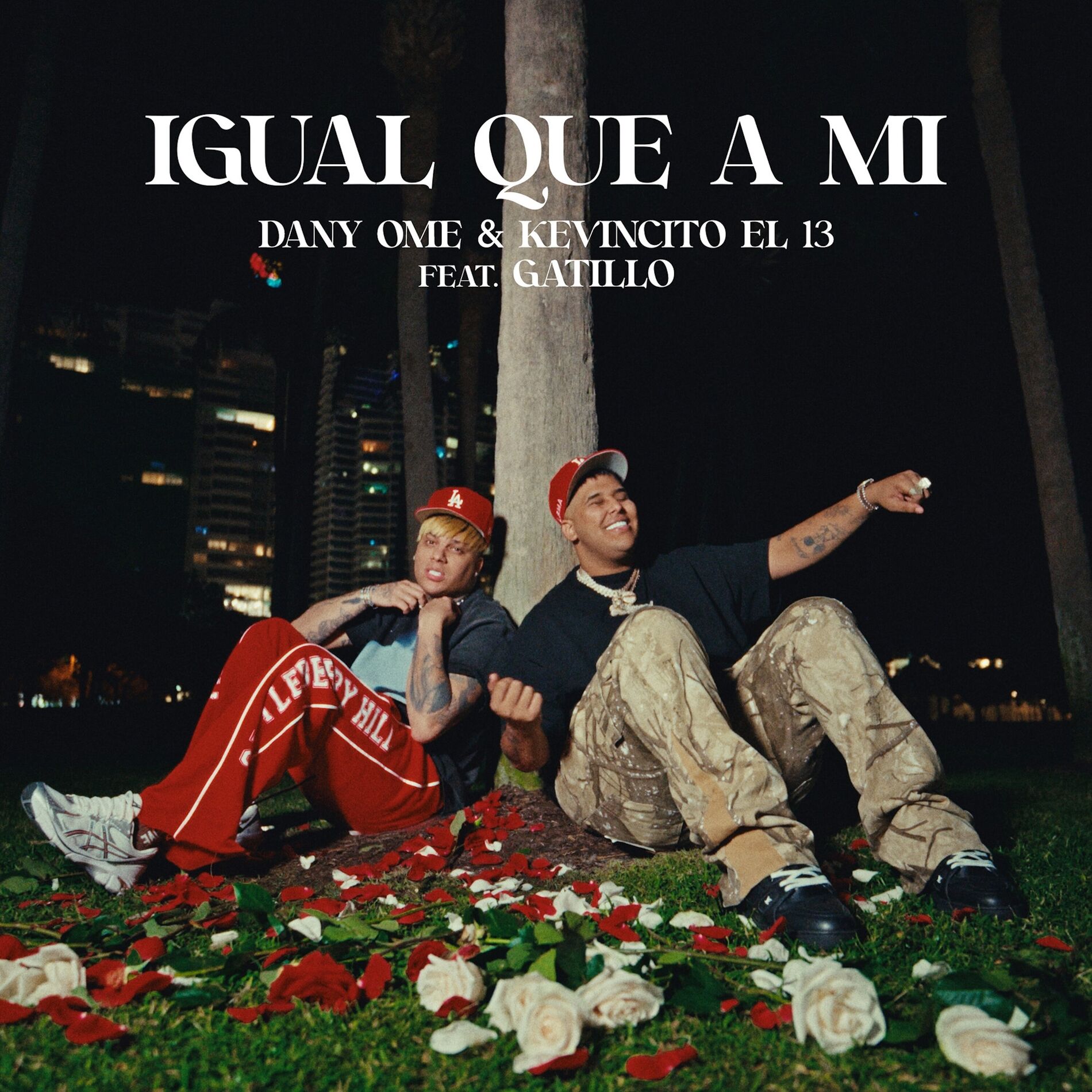 Album cover of Igual Que a Mi