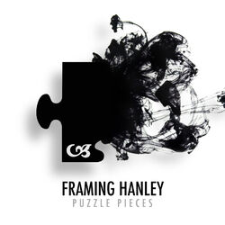 Cover of Puzzle Pieces