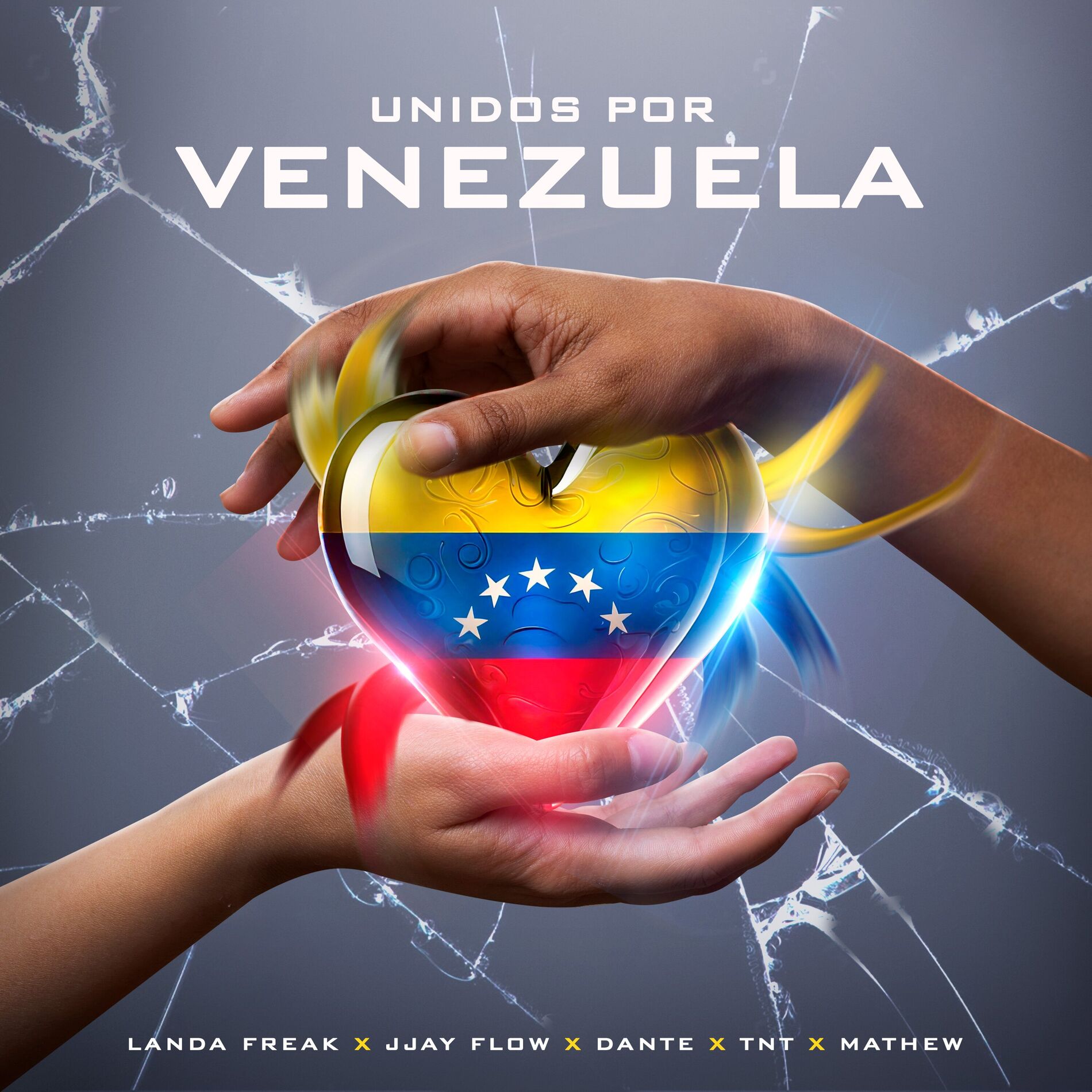 Album cover of Unidos por Venezuela