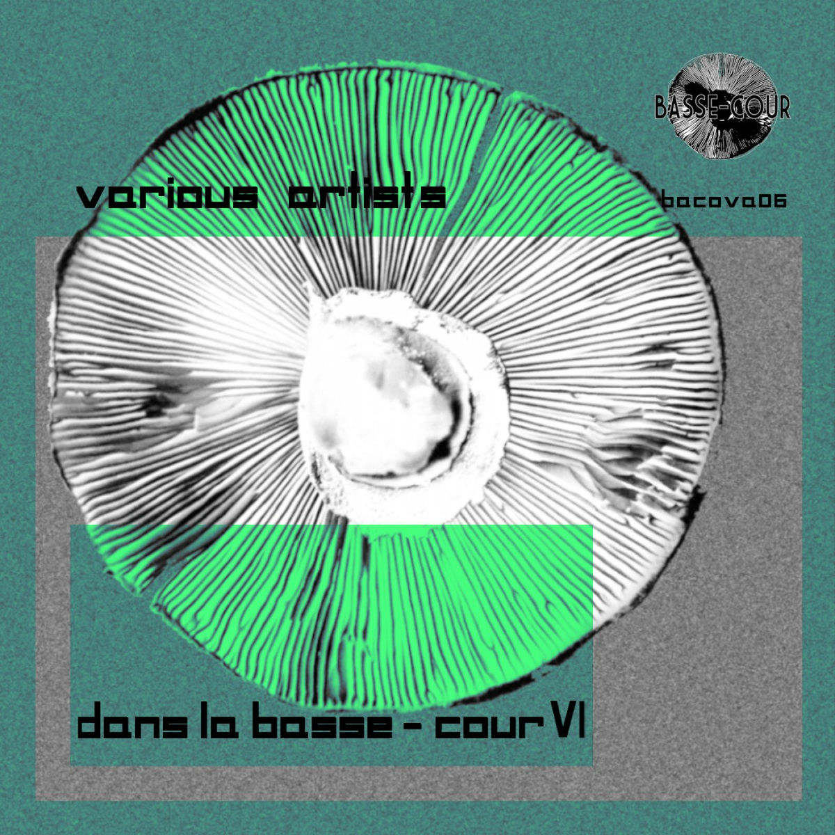Album cover of Dans la Basse-cour VI