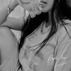 Cover of Bye Luv.
