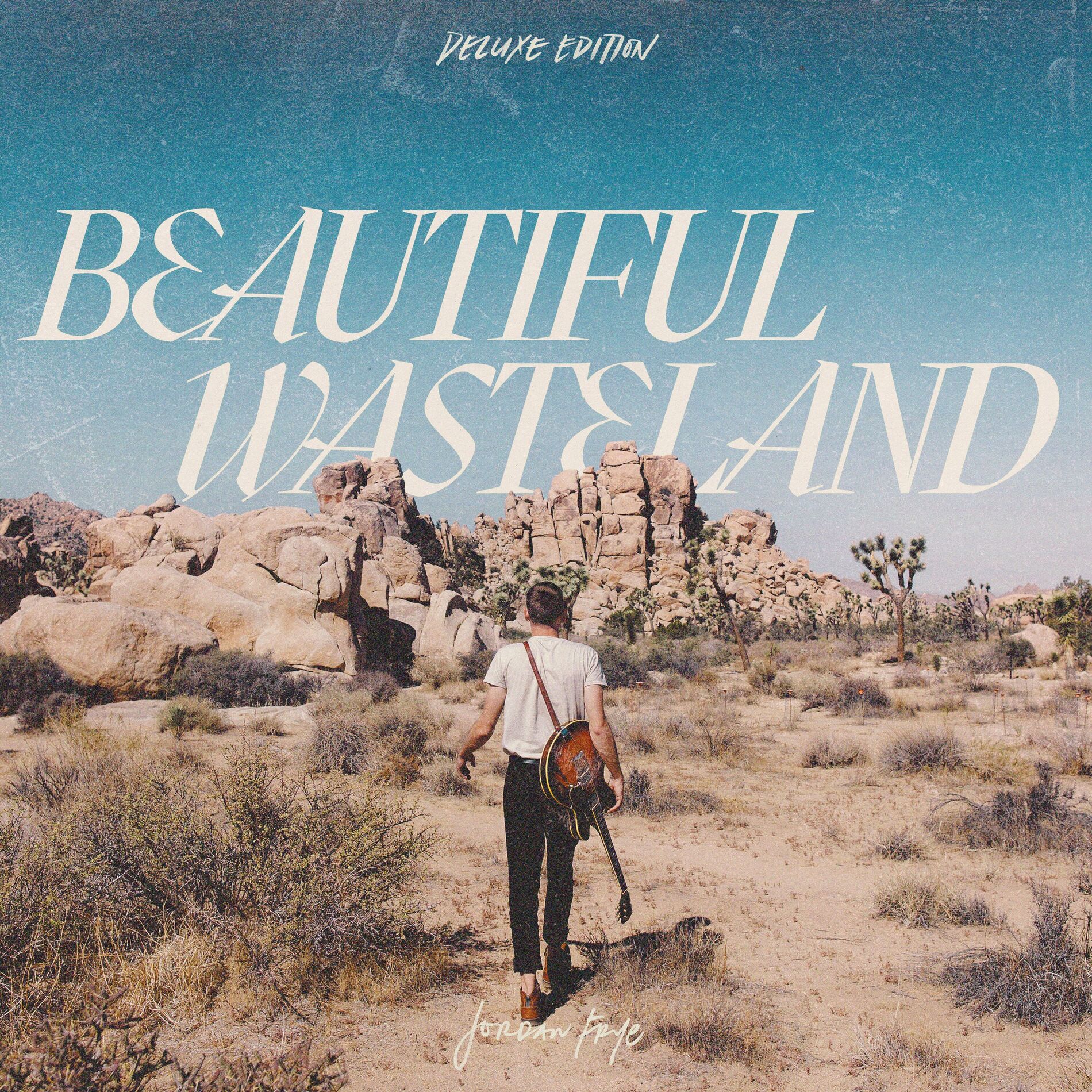 Album cover of Beautiful Wasteland (Deluxe Edition)