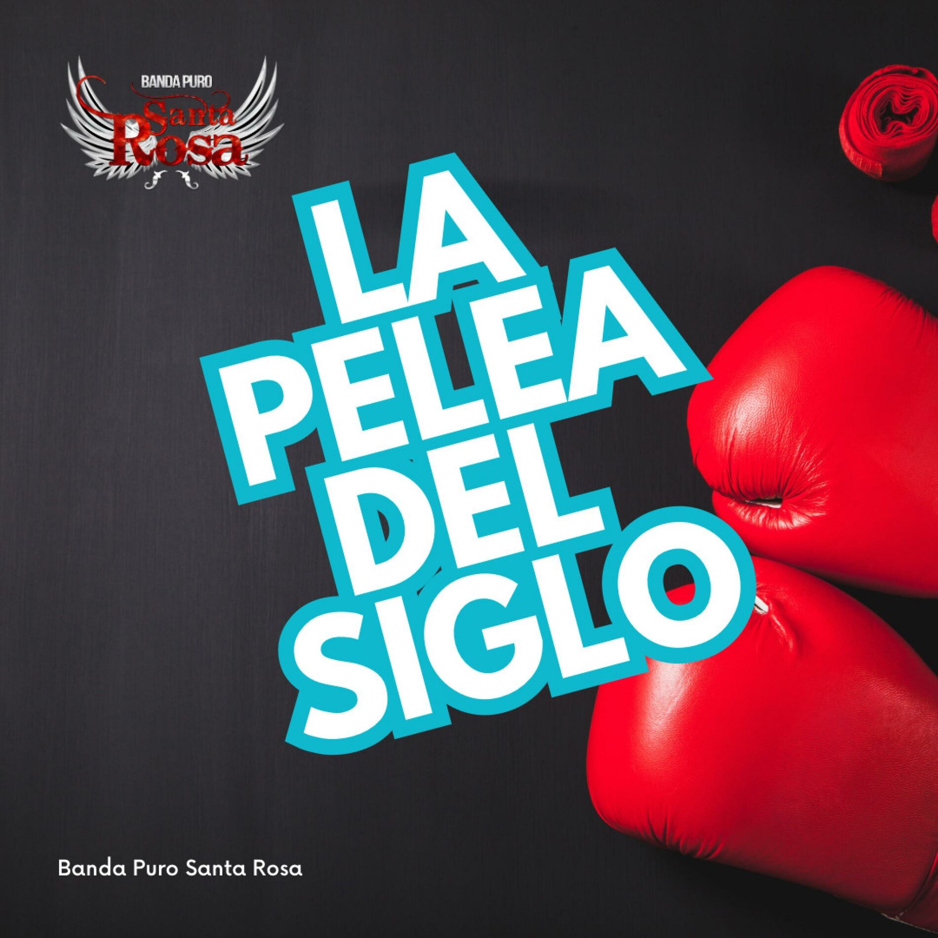 Album cover of La Pelea Del Siglo